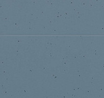 Forbo Sphera Energetic 50204 deep sea фото 2 | FLOORDEALER